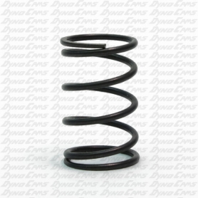 CLONE STOCK REPLACEMENT SPRING