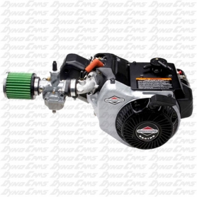 Briggs and Stratton World Formula Engine