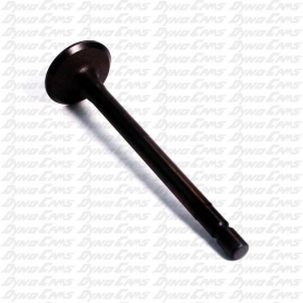 Exhaust Valve, Animal