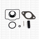 Carburetor Rebuild Kit, Animal