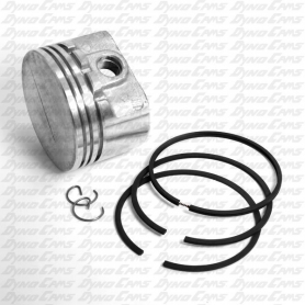 Piston Assembly, Animal