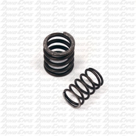 Valve Spring, World Formula