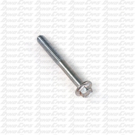 Cylinder Head Bolt, Animal
