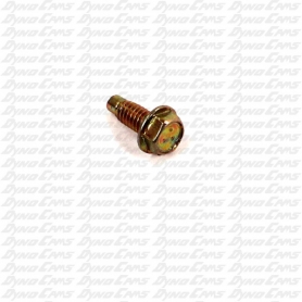 Flywheel Guard Screw, Flathead