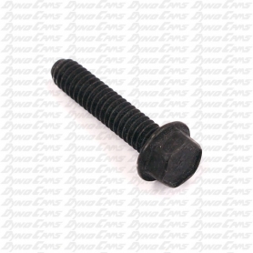AN SCREW