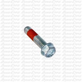 Crankcase Screw, Animal