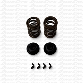 Heavy Duty 38lb.Spring Set, Clone, Predator