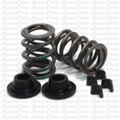 36lb Dual &quot;Green Stripe&quot; Valve Spring Kit with Hardware, Clone